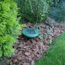 Do Ultrasonic Snake Repellents Work?