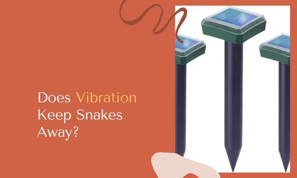 Does Vibration Keep Snakes Away
