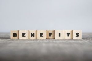 Benefits of a snake fence