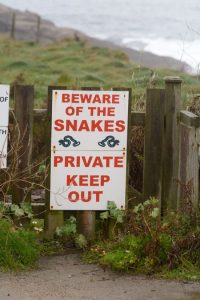 Best things to keep snakes away