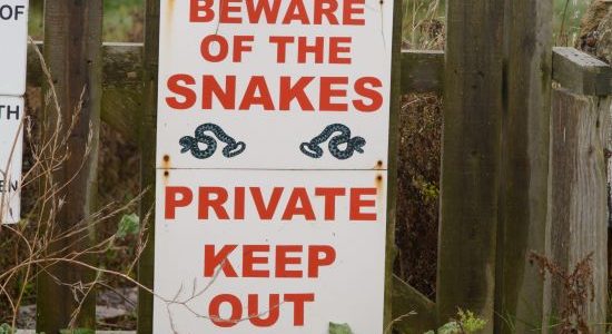 The Benefits of Installing a Snake Fence Best things to keep snakes away